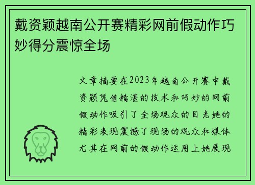 戴资颖越南公开赛精彩网前假动作巧妙得分震惊全场